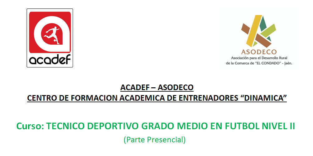 curso-tecnico-deportivo-grado-medio-en-futbol-nivel-ii