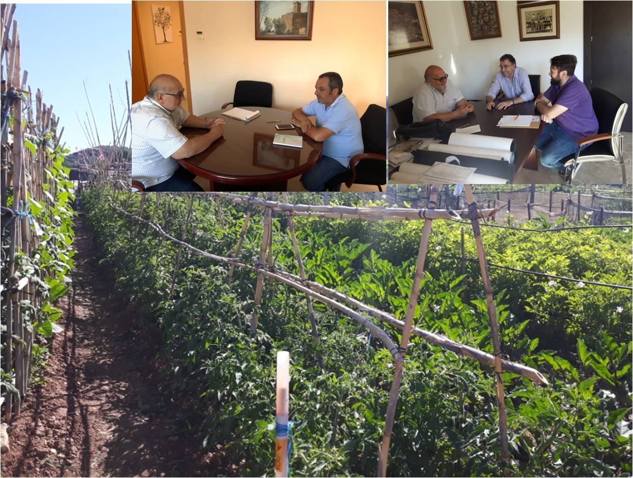 los-hortelanos-y-los-mercados-de-productos-locales