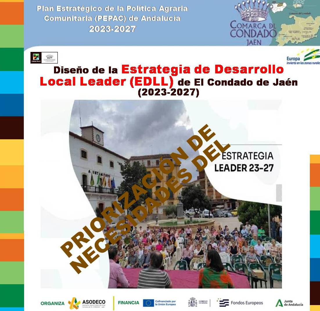 diseno-de-la-nueva-estrategia-de-desarrollo-de-la-comarca-priorizacion-de-necesidades-del-territorio