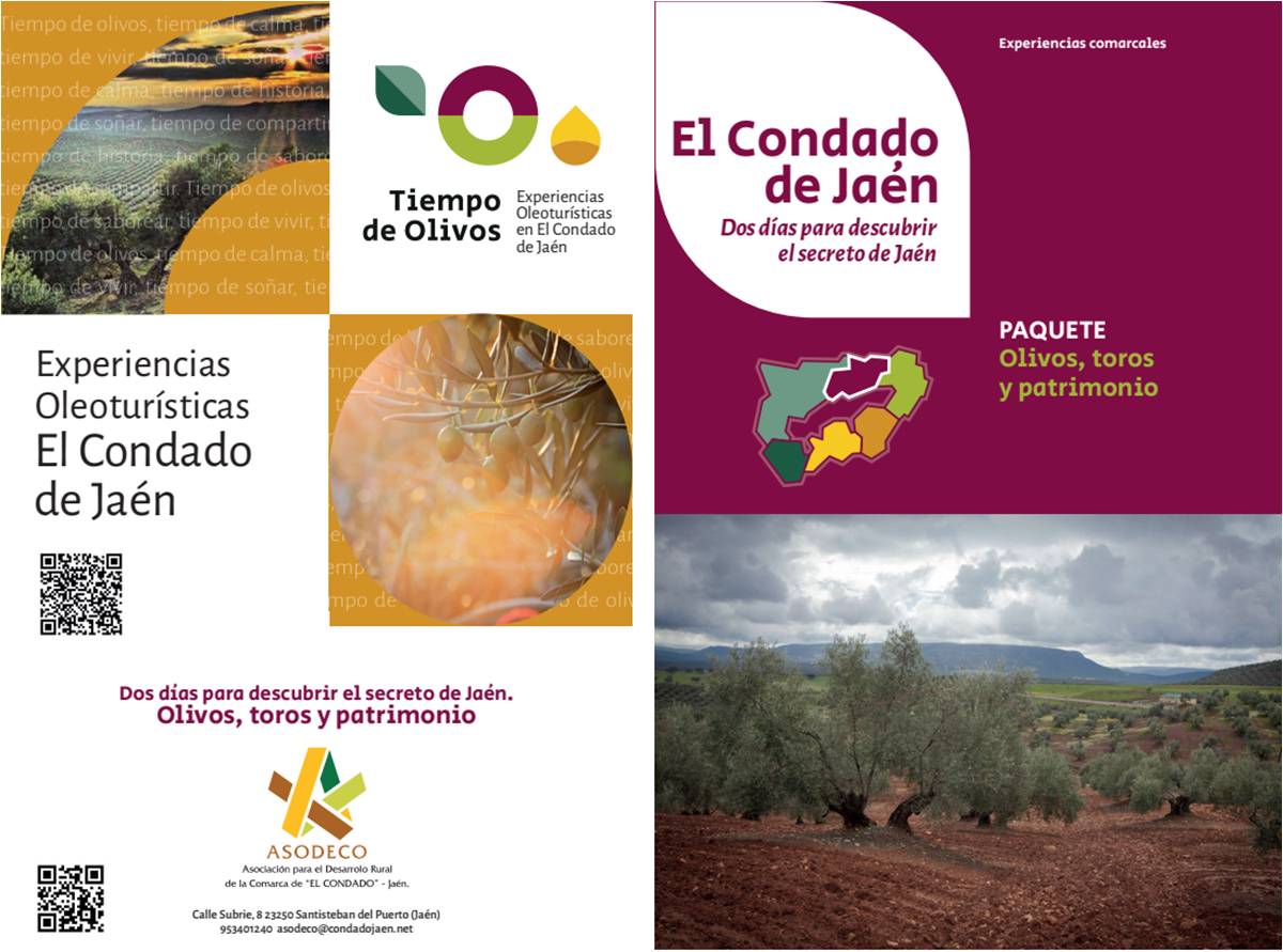guia-de-experiencias-oleoturisticas-en-el-condado-de-jaen-3
