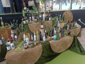 XII FIESTA DEL PRIMER ACEITE DE JAÉN 2025.